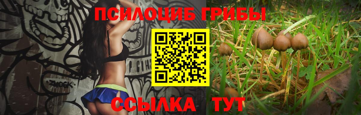 где найти наркотики  Псилоцибиновые грибы GOLDEN TEACHER  Вход с VPN  Саранск 